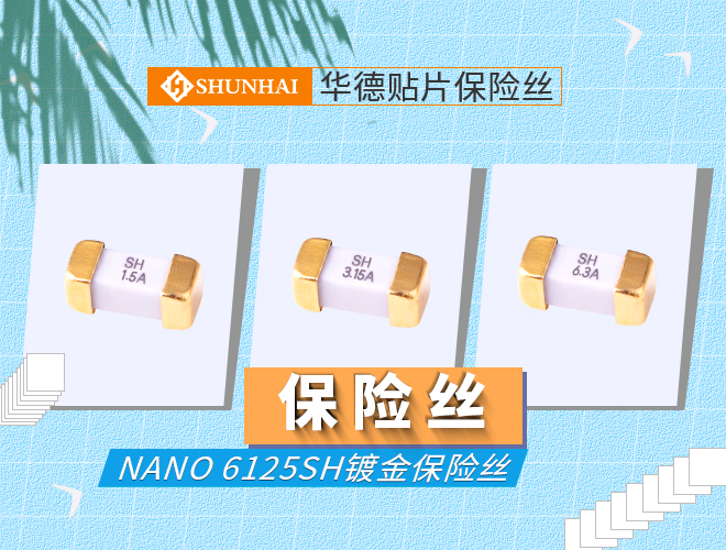 6125慢斷保險(xiǎn)絲_6125抗浪涌保險(xiǎn)絲
